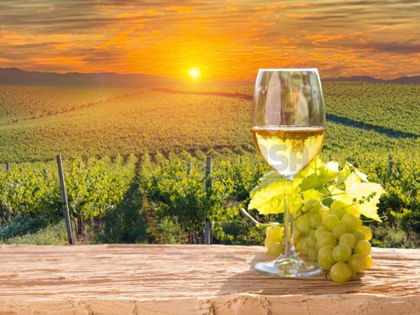negozio in vendita a Dolegna del Collio