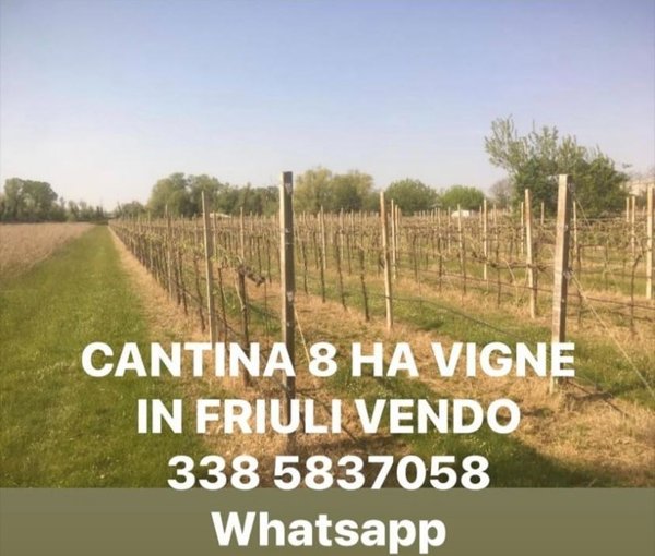 ufficio in vendita a Dolegna del Collio