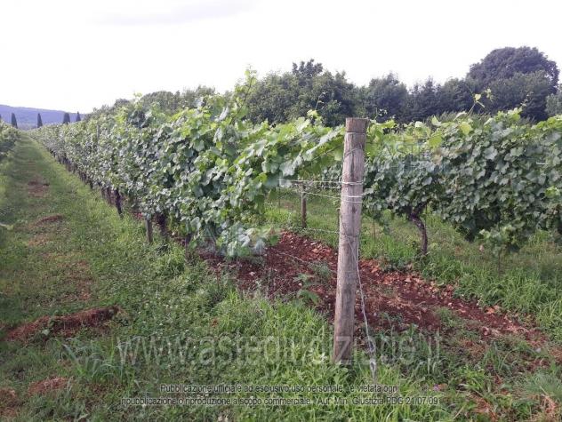 terreno edificabile in vendita a Farra d'Isonzo