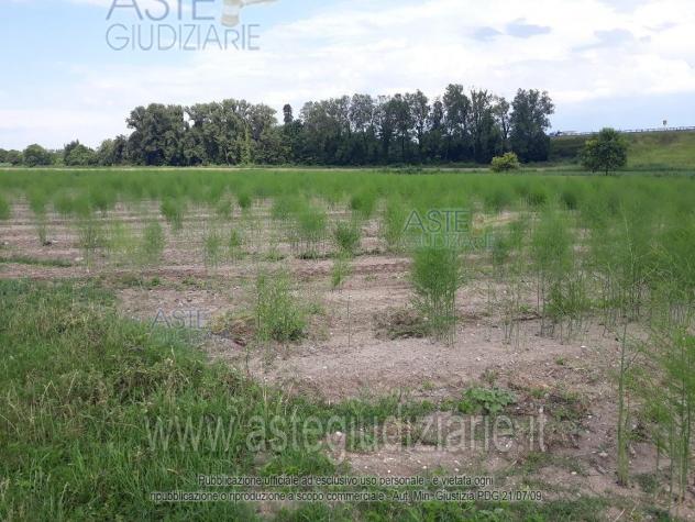 terreno agricolo in vendita a Farra d'Isonzo
