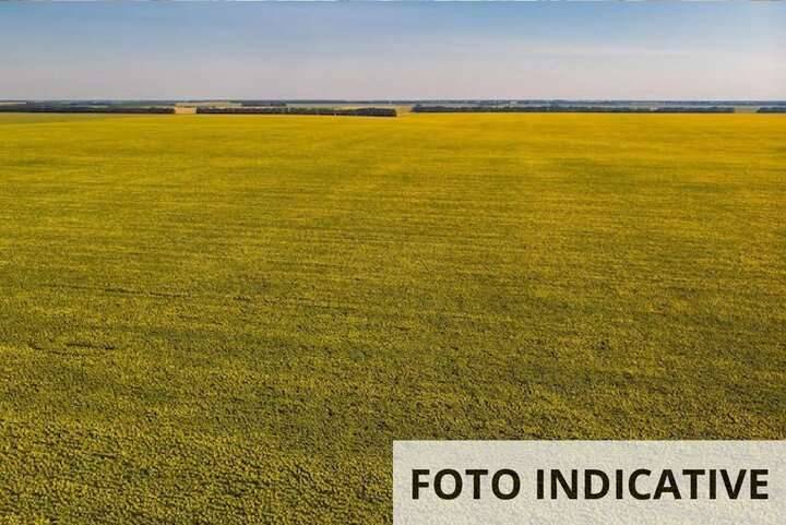 terreno agricolo in vendita a Farra d'Isonzo