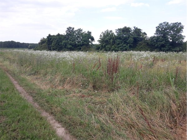 terreno agricolo in vendita a Farra d'Isonzo