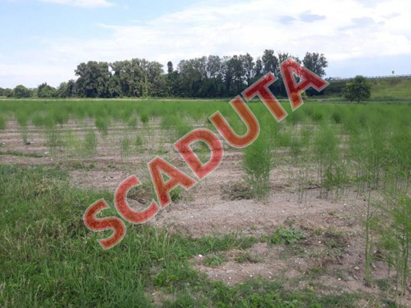 terreno agricolo in vendita a Farra d'Isonzo