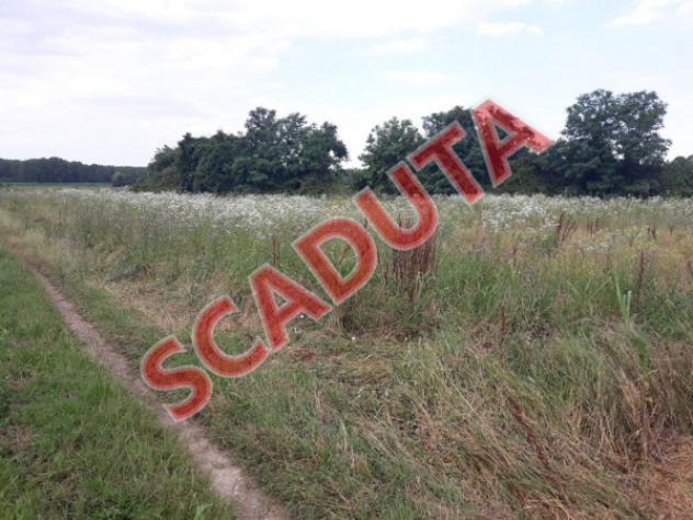 terreno agricolo in vendita a Farra d'Isonzo