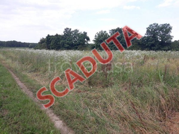 terreno agricolo in vendita a Farra d'Isonzo