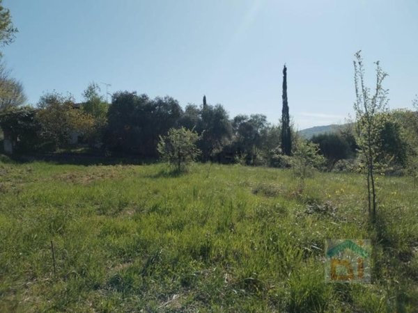 bifamiliare in vendita a Farra d'Isonzo