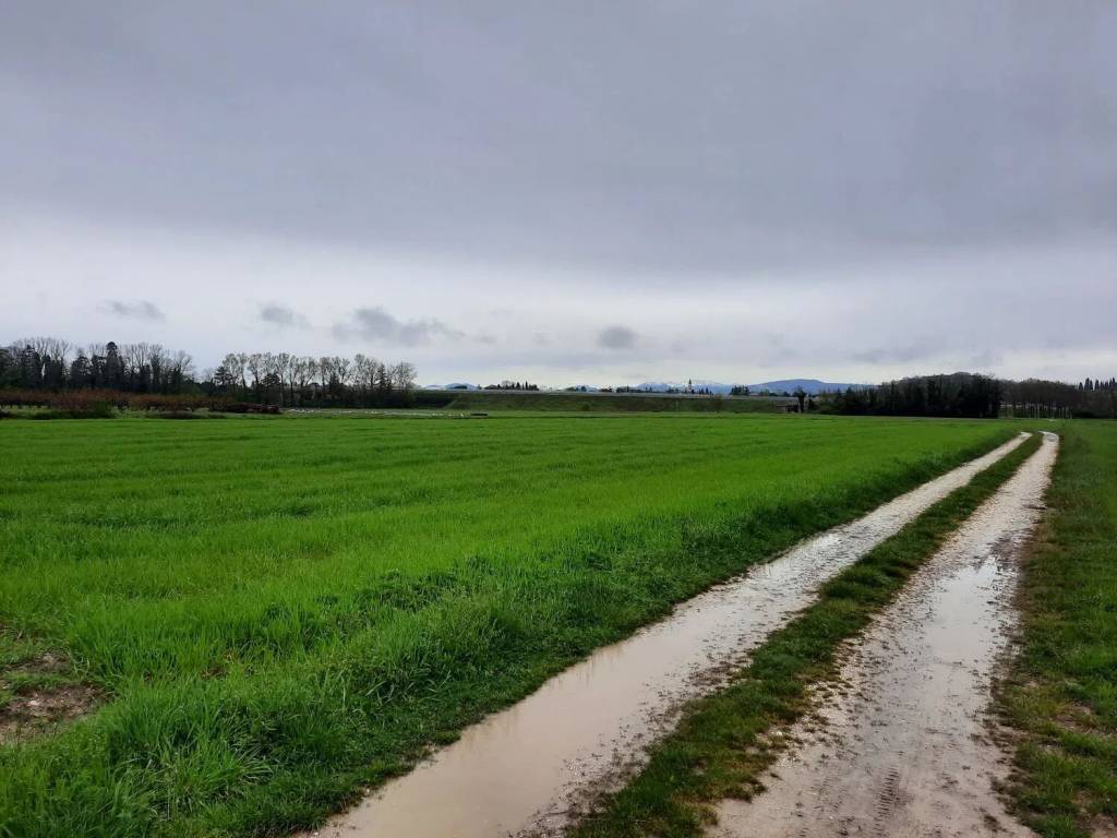 terreno agricolo in vendita a Farra d'Isonzo in zona Mainizza