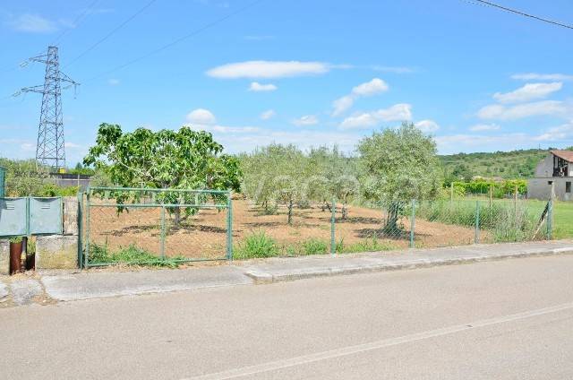 terreno agricolo in vendita a Fogliano Redipuglia in zona Polazzo
