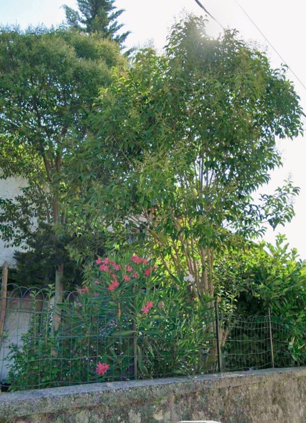 casale in vendita a Fogliano Redipuglia