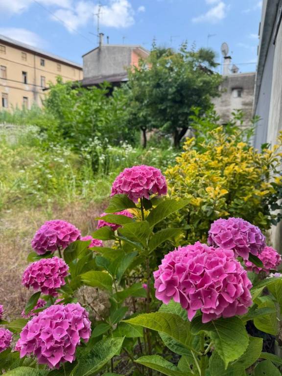 appartamento in vendita a Gorizia