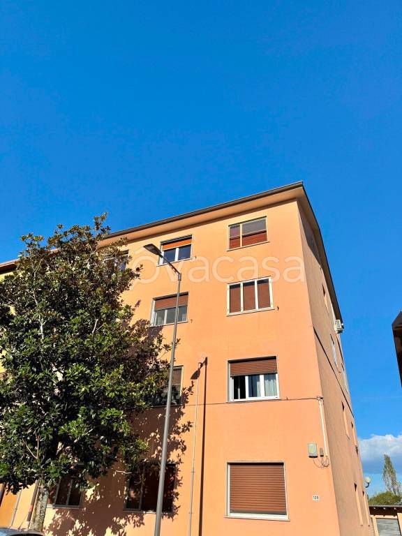 immagine annuncio 0 di 15