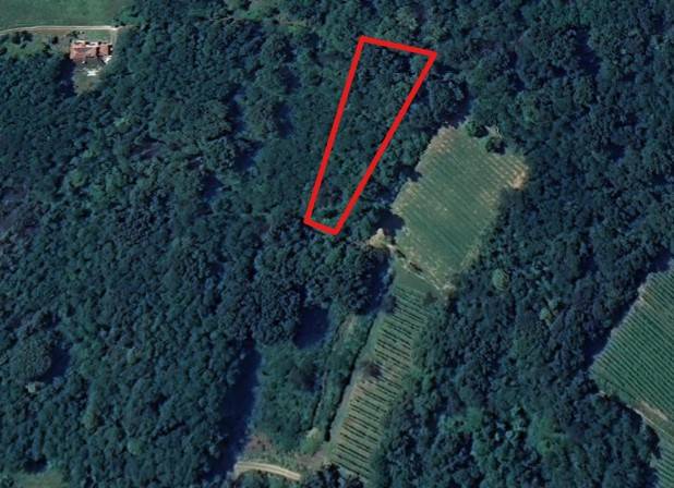 terreno agricolo in vendita a Gorizia