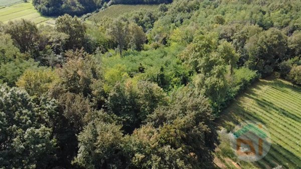 ufficio in vendita a Gorizia in zona Lucinico