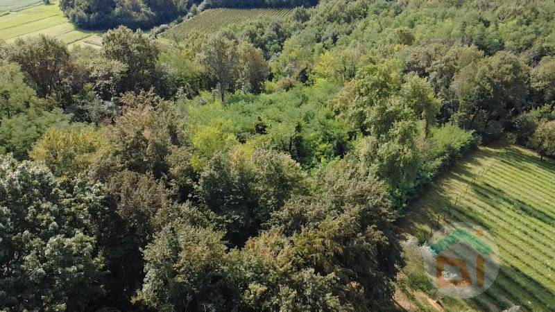 ufficio in vendita a Gorizia in zona Lucinico