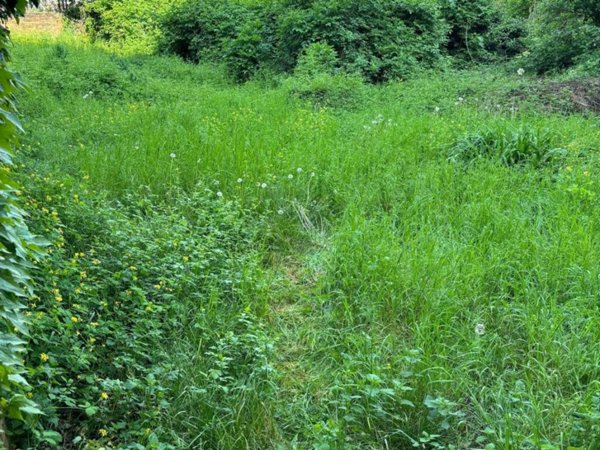 terreno agricolo in vendita a Gorizia