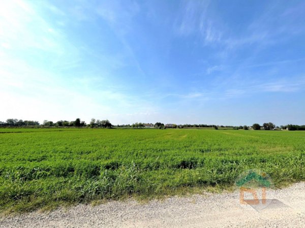 terreno agricolo in vendita a Gradisca d'Isonzo
