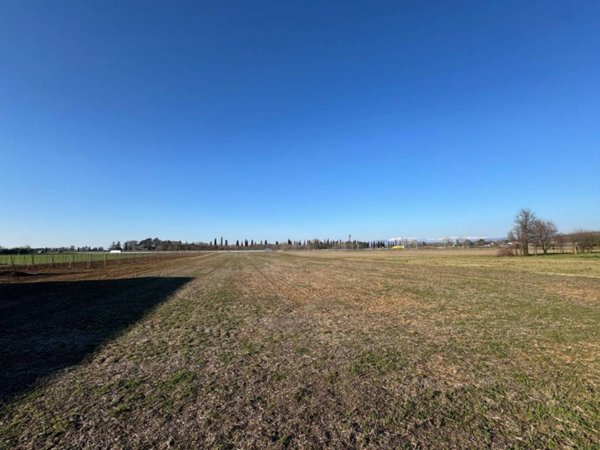 terreno agricolo in vendita a Gradisca d'Isonzo