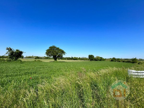 terreno agricolo in vendita a Gradisca d'Isonzo