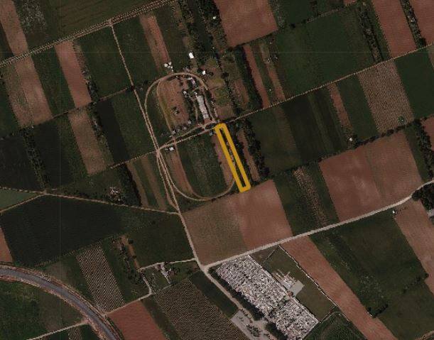 terreno agricolo in vendita a Gradisca d'Isonzo