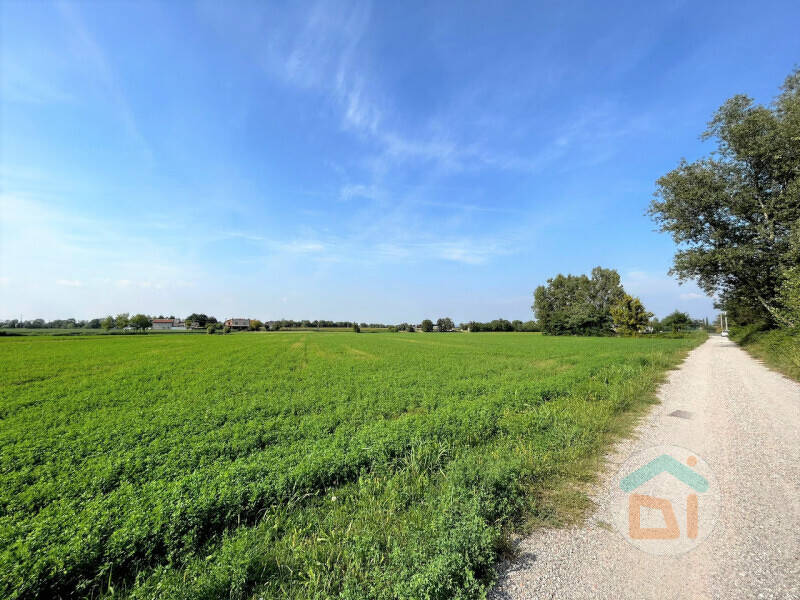 terreno agricolo in vendita a Gradisca d'Isonzo
