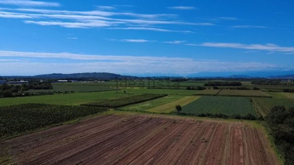 terreno agricolo in vendita a Gradisca d'Isonzo