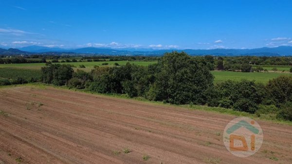 terreno agricolo in vendita a Gradisca d'Isonzo