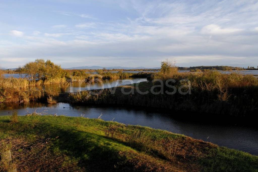 terreno agricolo in vendita a Grado