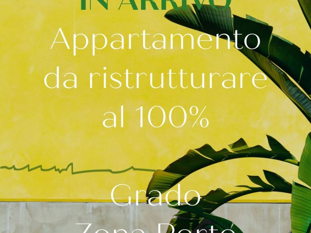 appartamento in vendita a Grado