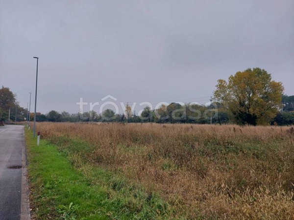 terreno agricolo in vendita a Monfalcone in zona San Polo