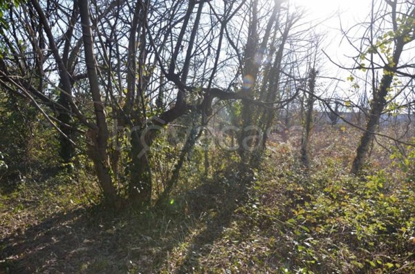 terreno agricolo in vendita a Monfalcone