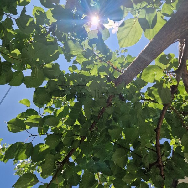 appartamento in vendita a Monfalcone