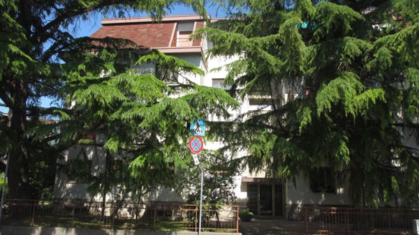 appartamento in vendita a Monfalcone in zona Aris