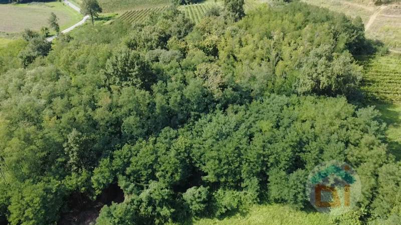 ufficio in vendita a Mossa