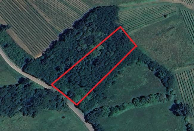 ufficio in vendita a Mossa