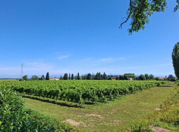 terreno agricolo in vendita a Romans d'Isonzo