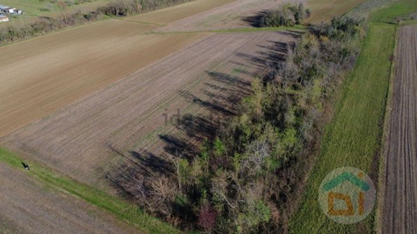 terreno agricolo in vendita a Romans d'Isonzo