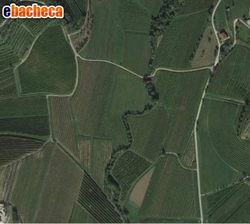 terreno agricolo in vendita a Ronchi dei Legionari in zona San Vito