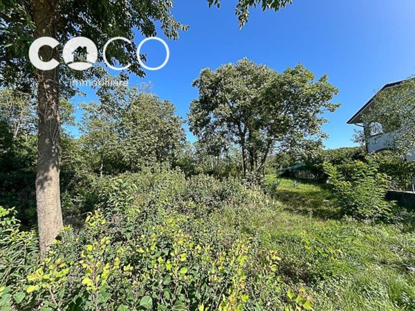 terreno agricolo in vendita a Sagrado in zona San Martino del Carso