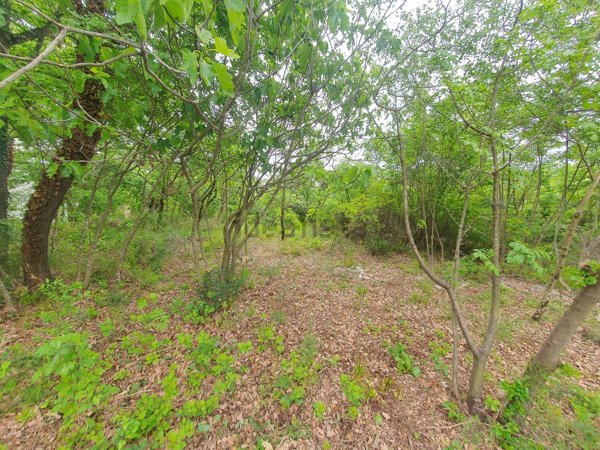 terreno edificabile in vendita a Sagrado in zona San Martino del Carso