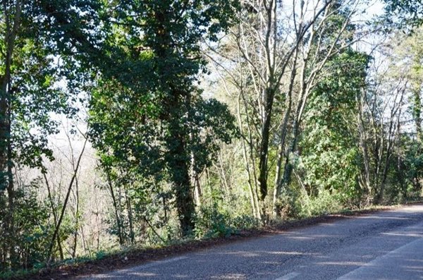 casa indipendente in vendita a Sagrado