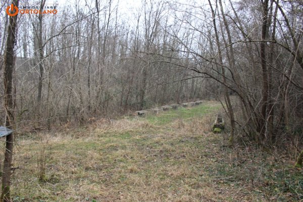 terreno agricolo in vendita a Sagrado