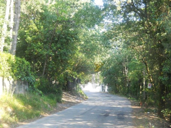 terreno edificabile in vendita a Sagrado