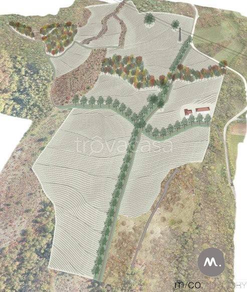 casa indipendente in vendita a Sagrado