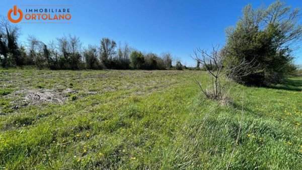 terreno agricolo in vendita a San Canzian d'Isonzo in zona Pieris