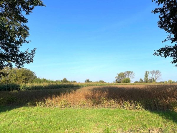 terreno agricolo in vendita a San Canzian d'Isonzo