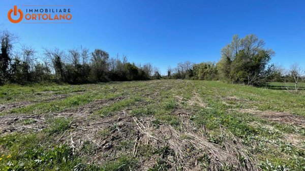 terreno agricolo in vendita a San Canzian d'Isonzo in zona Pieris