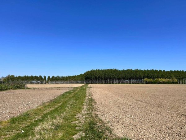 terreno edificabile in vendita a San Canzian d'Isonzo