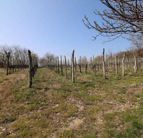 villa in vendita a San Floriano del Collio