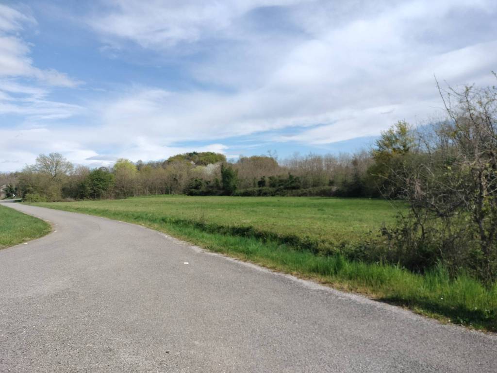 terreno agricolo in vendita a San Lorenzo Isontino