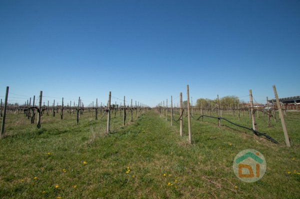 casa indipendente in vendita a San Pier d'Isonzo